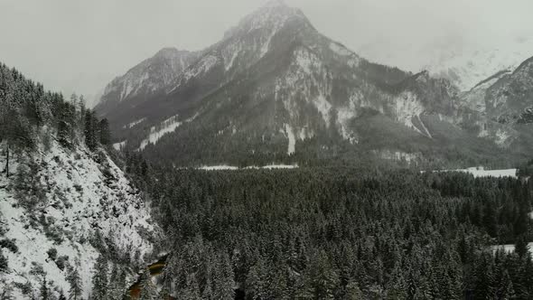 Beautiful view on an Forest with Mountains in Schiederweiher in Upper Austria Drone Video