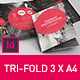Brochure 3xA4 Tri-fold Indesign Template Set - GraphicRiver Item for Sale