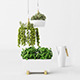 IKEA pots set + plans - 3DOcean Item for Sale