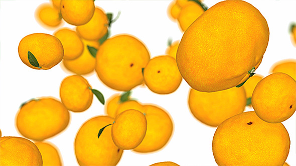 Oranges Falling