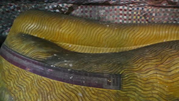 Lying Buddha Statue In Dambulla Cave Temple, Sril Lanka 2