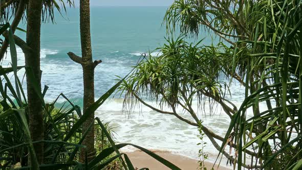 View Of The Ocean Beach Through Coastal Thickets 1