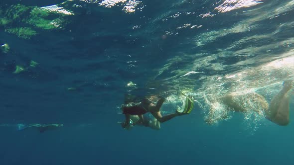 People Snorkelling  Cameras Underwater Swim To Take Pictures Of Fish And Corals