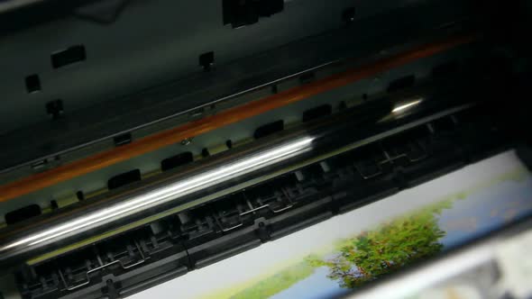 Inkjet Printer Color Photo Prints - 3