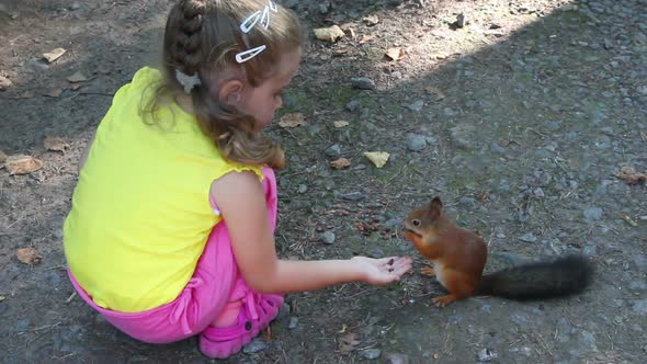 Little Girl Feeding Squirrel  Nuts In Park 4