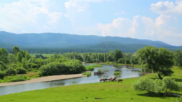 Summer Landscape  River Between Mountains And Grazing Horses 2