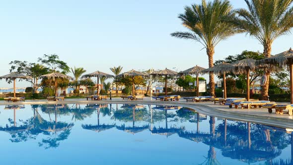 Swimming Pool  Palm Trees In Resort At Morning 2