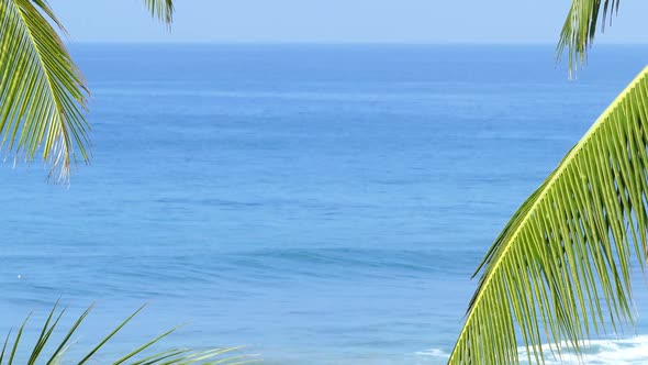 Beautiful Blue Sea Landscape  Palm Leaves On Foreground 6