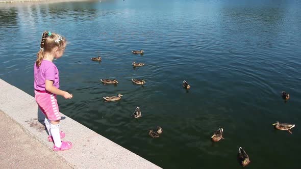 Little Girl Feeding Ducks In Park 1