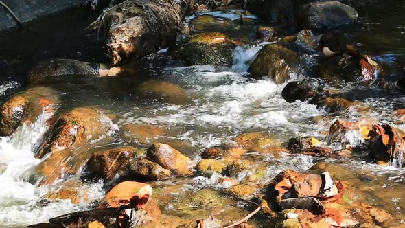 River In Thailand Forest