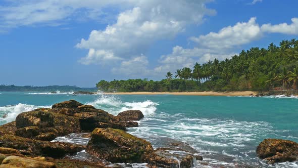 Beautiful Landscape  Sea Waves On Tropical Beach And Coconut Palms 8