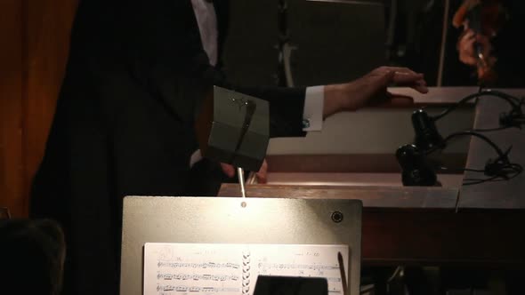 The Hands Of A Man Who Conducts The Orchestra - alt