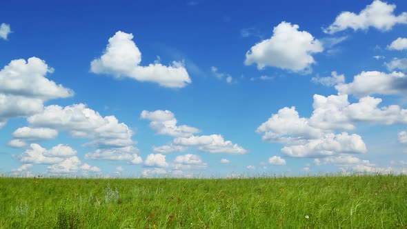 Background  Green Meadow Under Blue Sky  Clouds