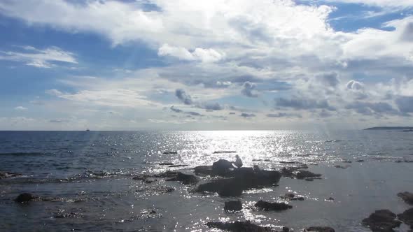 Fisherman  Spinning Near Sea In Sunlight -