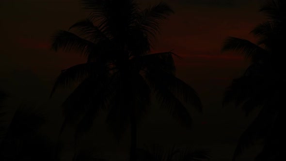 Beautiful Landscape  Tropical Sea Sunset And Palm On Foreground - 2
