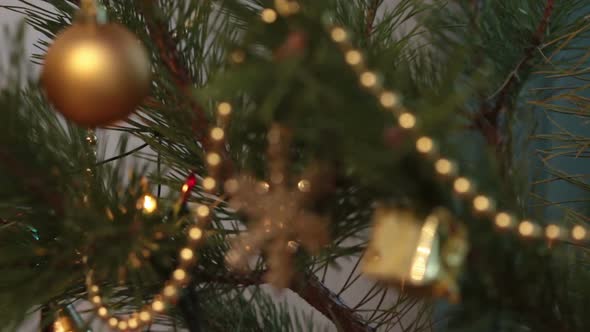 Decorated Christmas Tree  Flashing Garlands - Changing Focus 3