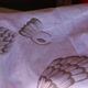 Hand Of A Woman Drawing On The Fabric - Sri Lanka 2 - VideoHive Item for Sale