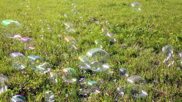 Soap Bubbles Flying Over Green Meadow