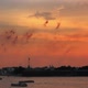Firework At Sunset Over Peter And Paul Fortress In Saint-Petersburg Russia 2 - VideoHive Item for Sale