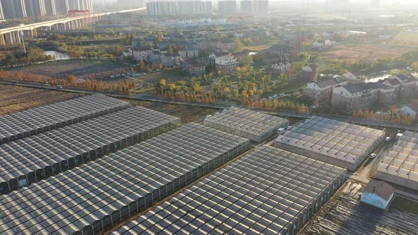 Greenhouse with Mountain village in mountain