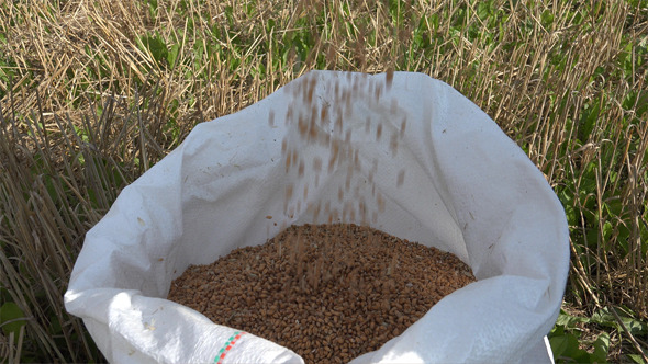 Bag with Wheat Cereal 4