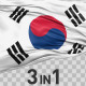 South Korea Flag Pack - VideoHive Item for Sale