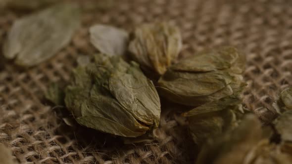 Rotating shot of barley and other beer brewing ingredients - BEER BREWING 268