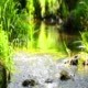 Stream in the Tropical Forest - VideoHive Item for Sale