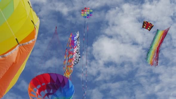 Kites of All Kinds  alt