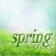 Nature Spring Backgrounds with Bokeh Effect - GraphicRiver Item for Sale