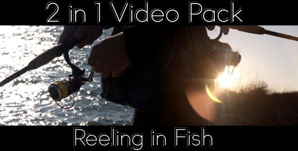 Reeling in Fish - 2 Videos