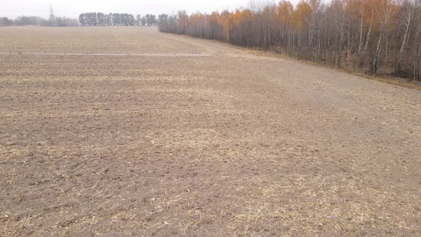 Empty Plowed Field in Autumn Aerial View