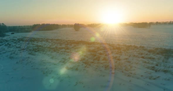 Aerial Drone View of Cold Winter Landscape with Arctic Field Trees Covered with Frost Snow and