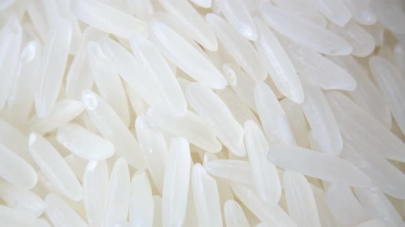 Processed  Raw Jasmine Fragrance White Rice. Macro close up.