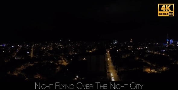 Night Flying Over The Night City 4