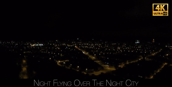 Night Flying Over The Night City 6 alt