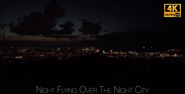 Night Flying Over The Night City 8