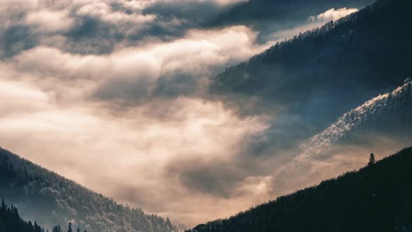 Magic Morning Light of Sun in Foggy Forest Mountains