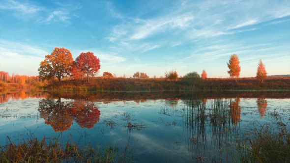 Amazing autumn, professional time lapse.