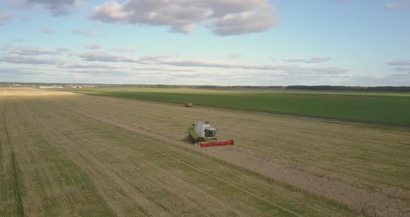 Panoramic View Combine Harvests Wheat in Field Against Sky