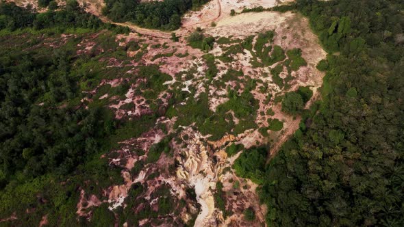 Aerial view land clearing of green tree