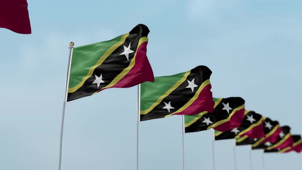 Saint Kitts And Nevis Row Of Flags  alt