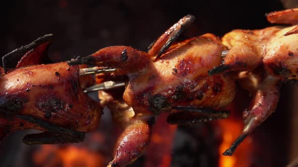 Closeup of the Delicious Quail Carcasses on the Skewer Roasting Above Open Fire