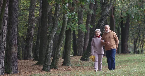 Adult Couple on a Walk in a Forest Park, Autumn Day, Gray-haired Man and Woman Walking in a City