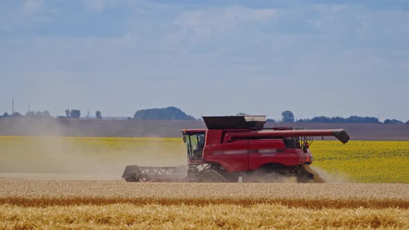 Combine harvester in dust working on the yellow field