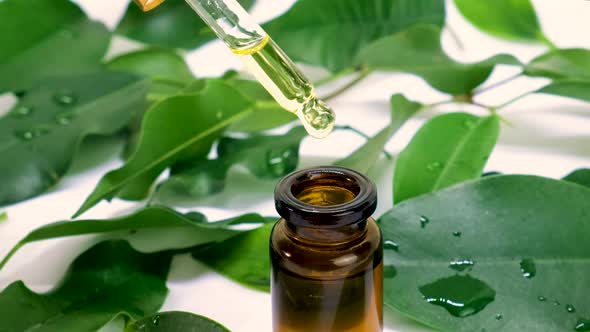 Tea Tree Essential Oil in Small Bottles