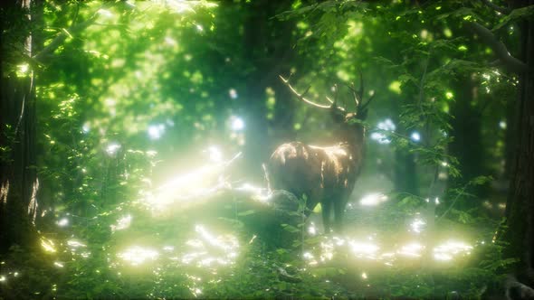Great Red Deer in a Green Forest alt