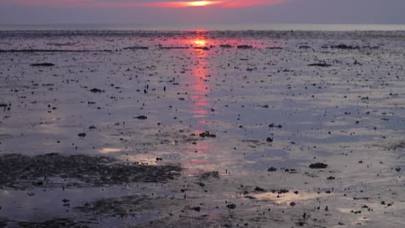 Beautiful Red And Orange Sunset In Low Tide Muddy Swamp Beach At Evening In Malaysia Wetland