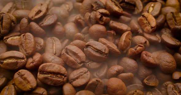 Close Up of Seeds of Coffee