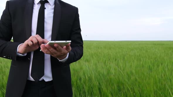 An Agronomist with a Tablet in a Field of Young Green Wheat Makes a Study of the Harvest